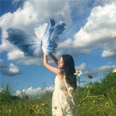 万紫千红花弄蝶